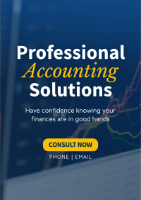 Professional Accounting Solutions Poster