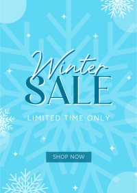 Winter Shopping  Sale Flyer