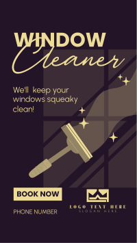 Squeaky Clean Windows Video