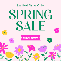 Celebrate Spring Sale Linkedin Post