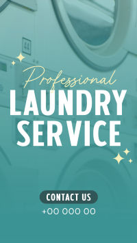 Professional Laundry Service Instagram Reel