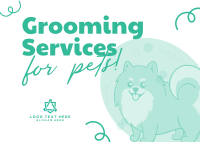 Premium Grooming Services Postcard