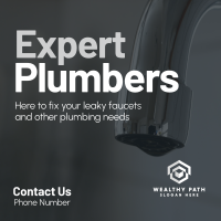 Expert Plumbers Linkedin Post Image Preview