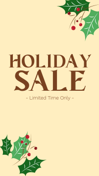 Holiday Sale Instagram Story