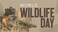 Wildlife Conservation Video Design