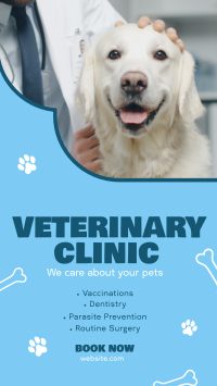 Professional Veterinarian Clinic Facebook Story