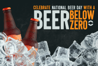 Beer Below Zero Pinterest Cover Design