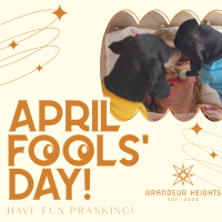 Quirky April Fools' Day Instagram Post Image Preview