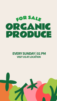 Organic Vegetables Instagram Story