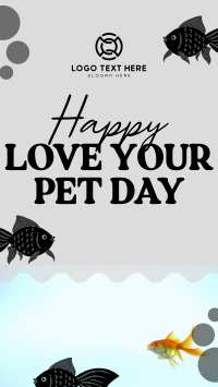 Bubbly Pet Day Instagram Reel