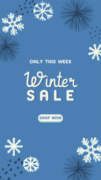 Decorative Winter Sale Instagram Story