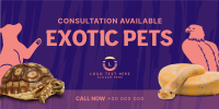 Exotic Vet Consultation Twitter Post