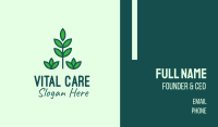 Green Eco Garden Plant Business Card Image Preview