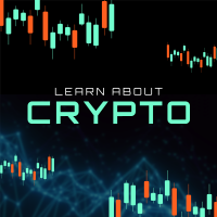 Learn about Crypto Instagram Post Design