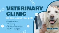 Professional Veterinarian Clinic Animation