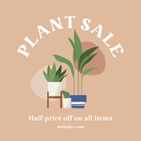 Quirky Plant Sale Instagram Post