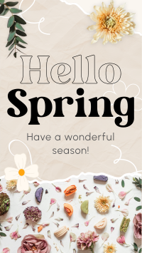 Hello Spring Instagram Story