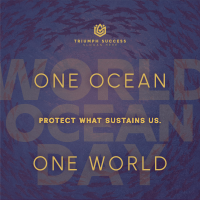 Clean World Ocean Day Awareness Instagram Post