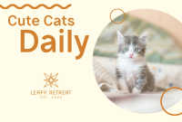 Pet Cat Pinterest Cover Image Preview