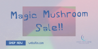 Psychedelic Mushroom Sale Twitter Post