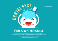 Whiter Smile Postcard