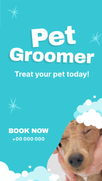 Professional Pet Groomer TikTok Video Image Preview