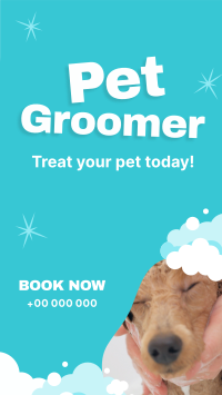 Professional Pet Groomer TikTok Video