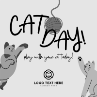 Cat Playtime Linkedin Post