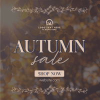 Special Autumn Sale  Linkedin Post