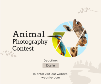 Animals Photography Contest Facebook Post