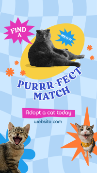 Adopt a Cat Instagram Story Design