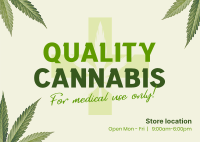 Quality Cannabis Plant Postcard