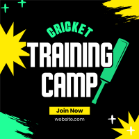 Cricket For Beginners Instagram Post Design