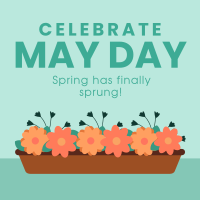 Celebrate May Day Linkedin Post Design