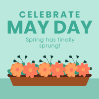 Celebrate May Day Linkedin Post