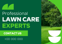 Expert Lawn Care Professional Postcard