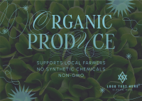 Minimalist Organic Produce Postcard