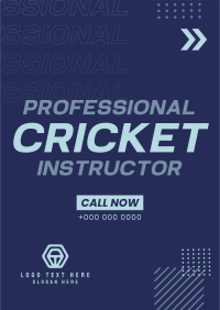 Let's Play Cricket Poster