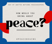 Contemporary United Nations Peacekeepers Facebook Post