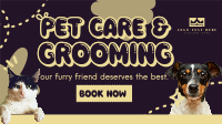 Pet Care Animation