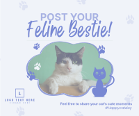 Cat Appreciation Post  Facebook Post