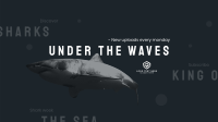 The Shark Week YouTube Banner