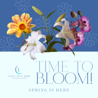 Bloom Spring Greeting Instagram Post