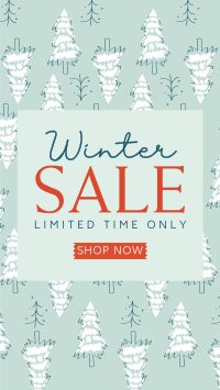 Winter Pines Sale Instagram Reel