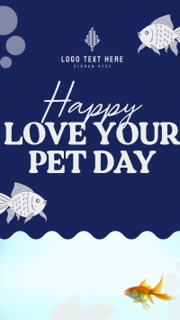 Bubbly Pet Day Video