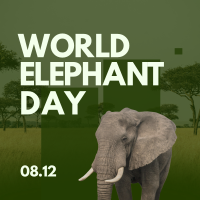 World Elephant Celebration Linkedin Post