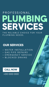 Expert Plumber Service TikTok Video