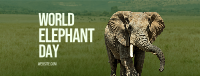 World Elephant Day Facebook Cover Image Preview