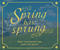 Spring Mountains Facebook Post