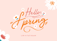 Hello Spring Greeting Postcard